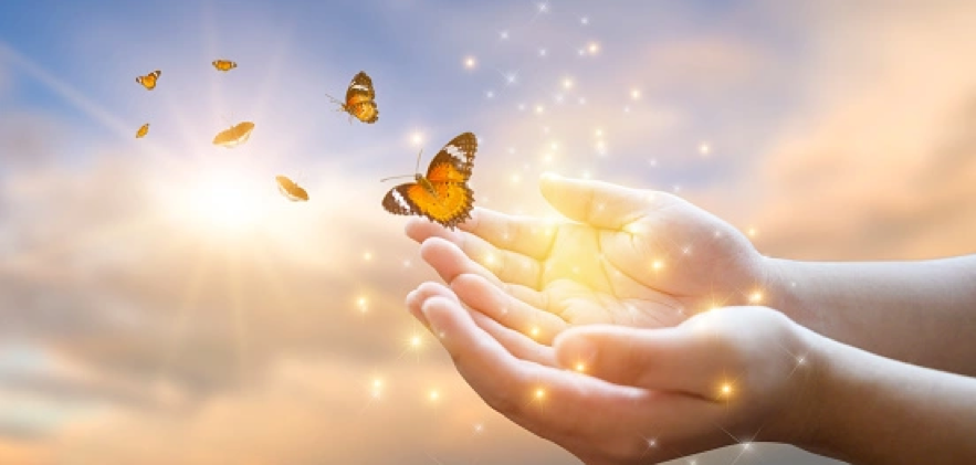 Deux mains l'une contre l'autre, paumes vers le ciel, laissant s'échapper une nuée de papillons, aux ailes rouge-orangées et noires aux extrémités, dans un ciel ensoleillé et nuageux et qui laissent derrière eux une trainée de poussière d'or, symbolisant la transformation intérieure du massage métamorphique - cabinet Terre de Shiatsu Lyon 5e